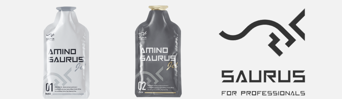 アミノサウルス[AMINO SAURUS]