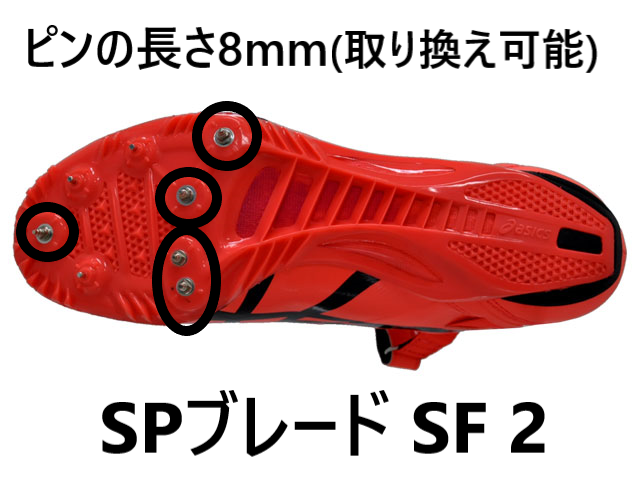 SteP SPORTS ONLINE / 短距離特集