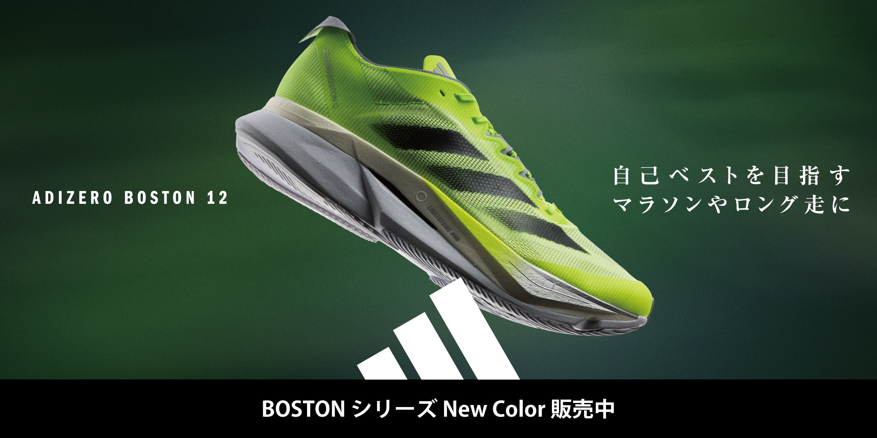 SteP MALL ONLINE SHOP / 【最新】adidas