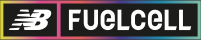 NB FUELCELL