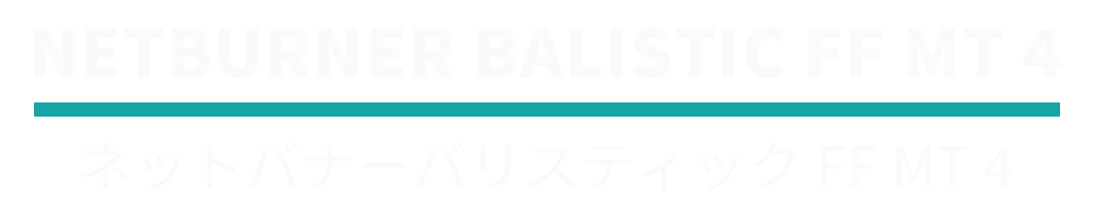 NETBERNERMT4